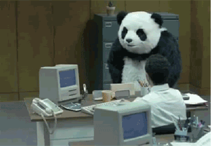 大熊猫 萌 生气 哈哈