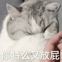 萌宠 猫咪 猫 喵星人 你特么又放屁 放屁 斗图