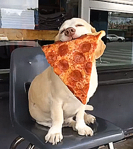 热狗  披萨 幸福 满足