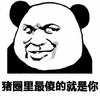 猪圈 猪圈最傻的就是你