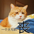 一个大写的丧 猫咪 忧愁 沙发