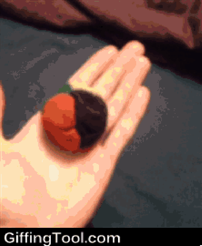 動(dòng)物 動(dòng)態(tài) 手掌 房子