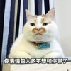 萌宠 猫星人 你表情包太多 不想和你聊了 呆萌 可爱