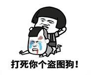 暴漫 文字表情包 打死你个盗图狗 搞笑 逗 沙雕