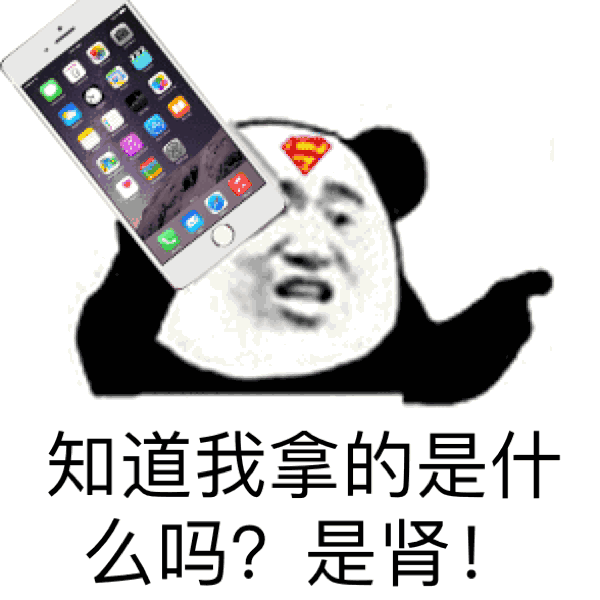 金馆长熊猫 熊猫人 手机 搞笑 知道我拿的是什么是肾