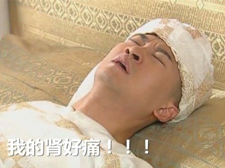 我的肾好痛 恶搞 尔康 受伤