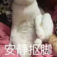 萌宠 猫星人 安静抠脚 jiojio 呆萌 可爱