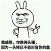 蠢猪 搞笑 斗图 滑稽