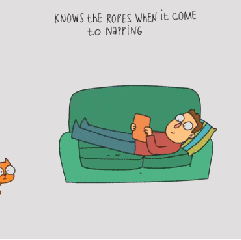 卡通 沙发 猫咪 可爱