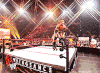胜利了 开心 WWE美国职业摔角 World+Wrestling+Entertainment