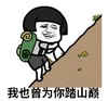 暴漫 文字表情包 我也曾为你踏山巅 搞笑 逗 沙雕