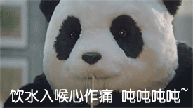大熊猫 黑眼圈 吸管 喝水
