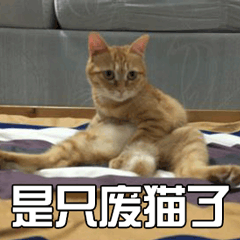 猫 萌宠 喵星人 是只肥猫了 soogif soogif出品