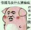 你踏马发什么猪癫疯  吓老子一跳    二师兄    猪头     红脸猪
