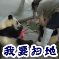 我要扫地 熊猫 可爱 扫地