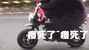 熊本 摩托车 骑行 痿死了