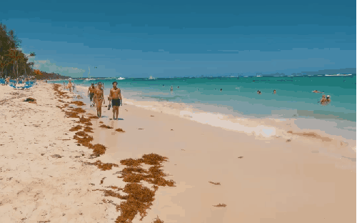 多米尼加共和国 比基尼 沙滩 海洋 海浪 纪录片 蓬塔卡纳 风景