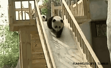滑梯 熊猫 滑下 摔倒