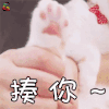 猫咪 猫 萌宠 生气 揍你 流行表情 soogif soogif出品