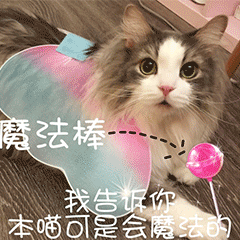 可爱 猫咪 魔法棒