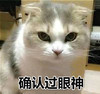 萌宠 猫星人 确定过眼神 难受 呆萌 可爱