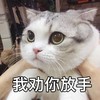 萌宠 喵星人 我劝你放手 你快给我放开 呆萌 可爱