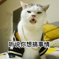 猫咪 听说 你想 搞事情