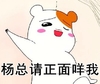 杨总请正面回答我 小老鼠 可爱 欢乐