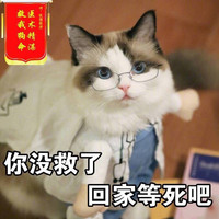 回家等死吧 猫咪 戴眼镜 搞笑