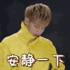 夜空中最闪亮的星 黄子韬 郑柏旭 安静一下