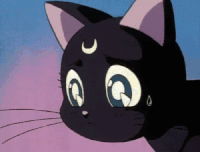 委屈 黑猫 眨眼 伤心