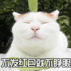 猫 萌宠 喵星人 不发红包就不睁眼 soogif soogif出品