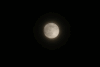 月亮 夜晚 晚上 动画