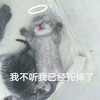 萌宠 猫星人 我不听 我已经死掉了 呆萌 可爱