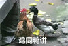 沙雕 今日沙雕 傻屌图 沙雕表情包