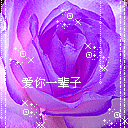 图片  动图    紫色 花