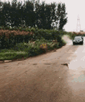 影视 搞笑 下雨 开车 危险
