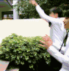 TFBOYS 白衬衫 三小只 少年