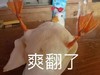 萌宠 大鹅 爽翻了 开心 呆萌 可爱