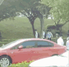 动态 少年 红色 汽车