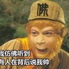 西游记 孙悟空 智慧 我仿佛听到有人在背后说我帅