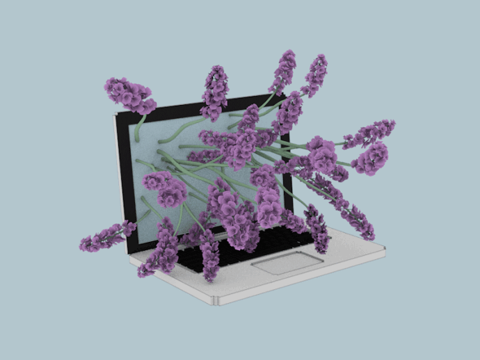 薰衣草 鲜花 电脑 美图