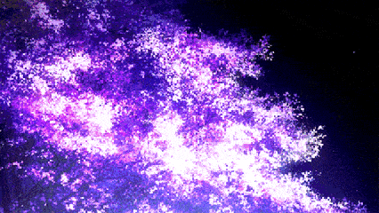 花瓣 飘落 紫色 风景优美