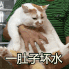 猫咪 手指 猫爪子 一肚子坏水