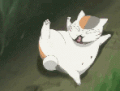 猫咪 滑梯 搞笑 爱玩