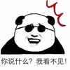 文字表情包 暴漫 你说什么我看不见 搞笑 魔性 逗