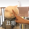 萌宠 喵星人 你太丑了 丑到我了 搞怪 可爱