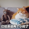萌宠 猫星人 已经派送两个小时了 搞怪 逗