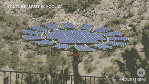 太阳能电池板 发电 向日葵 清洁能源