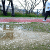 水面 倒影 路过 野外